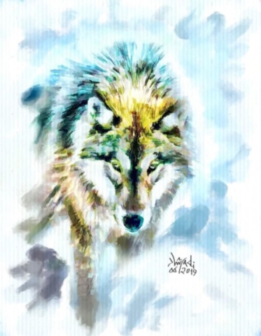 Wolf
